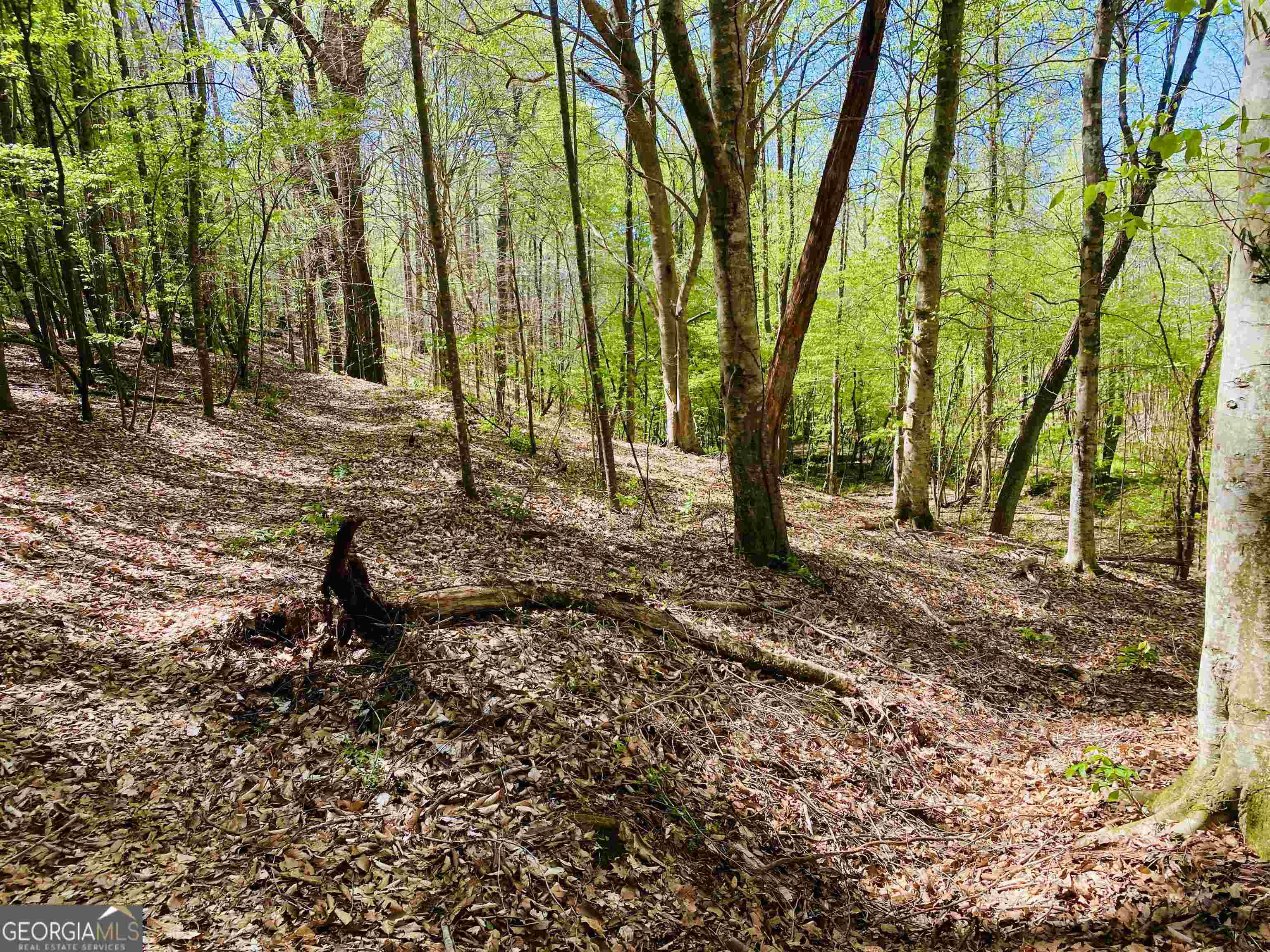 0 New Kings Bridge Road, Unit LOT 7 Athens, GA 30607 - Photo 5 of 48 a backyard of a house with lots of green space