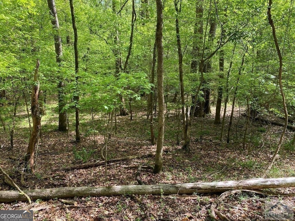 0 New Kings Bridge Road, Unit LOT 7 Athens, GA 30607 - Photo 6 of 48 a backyard of a house with lots of green space