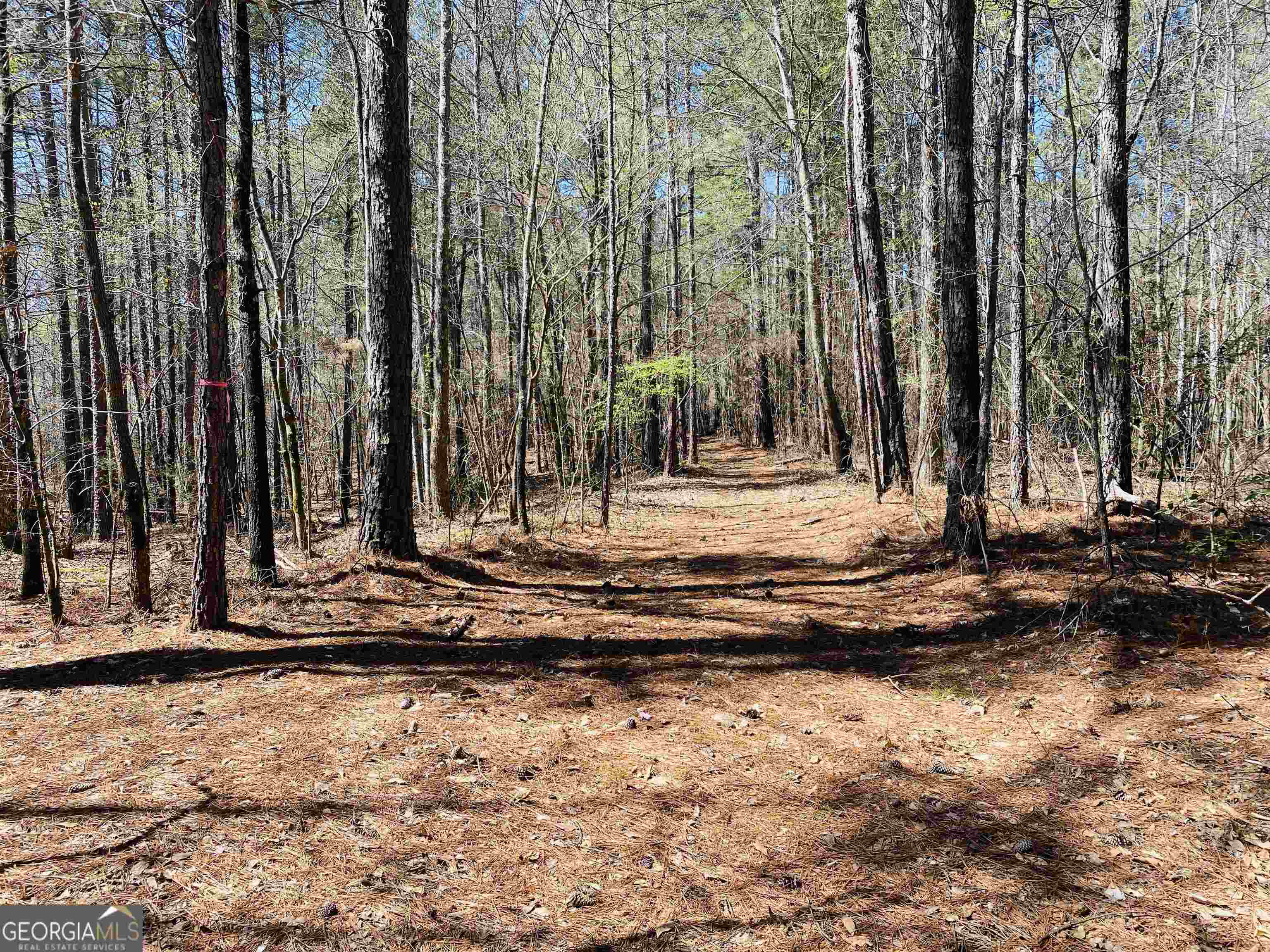 0 New Kings Bridge Road, Unit LOT 7 Athens, GA 30607 - Photo 8 of 48 a view of a house with a yard