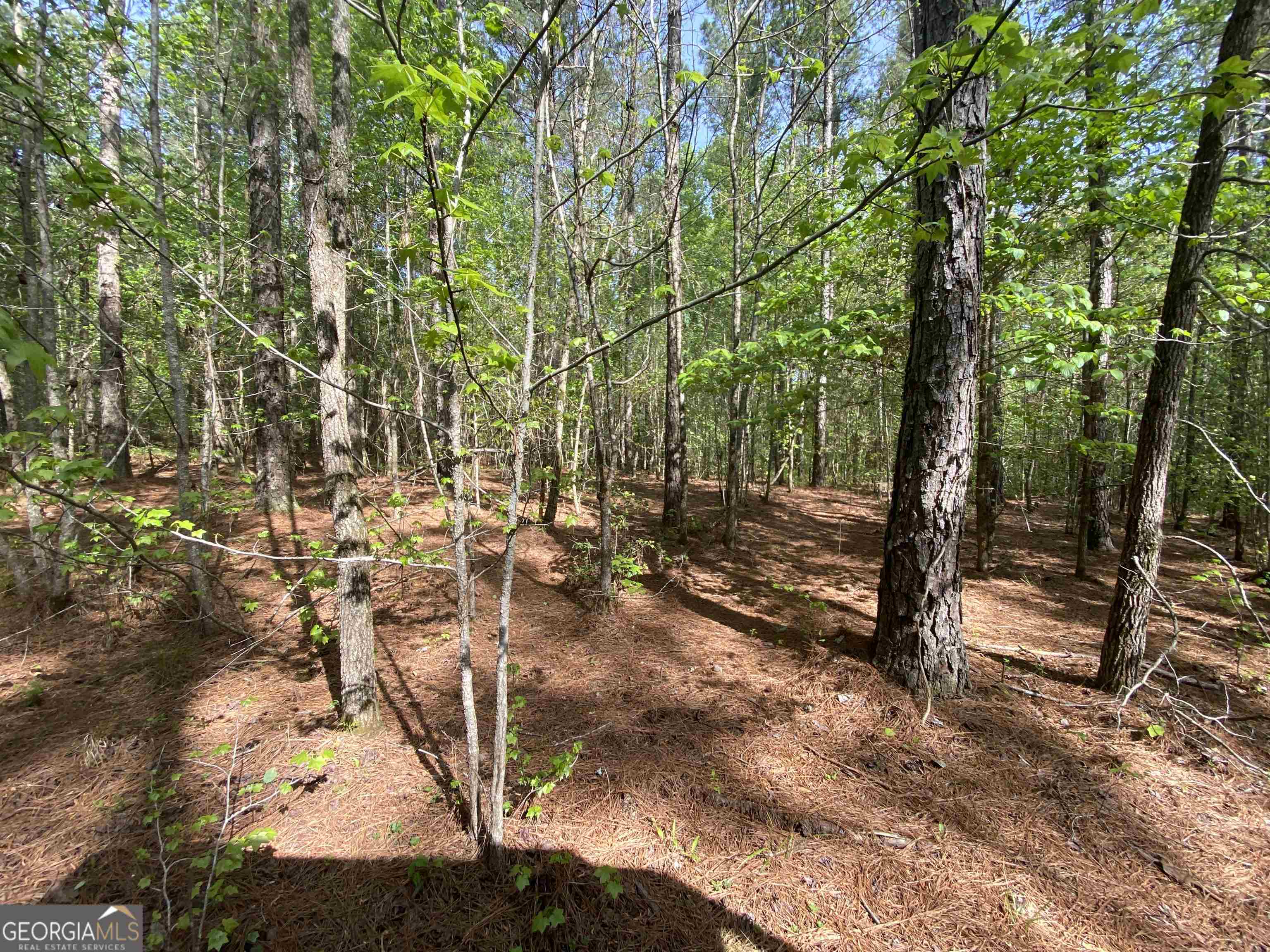0 New Kings Bridge Road, Unit LOT 7 Athens, GA 30607 - Photo 9 of 48 a view of outdoor space and trees