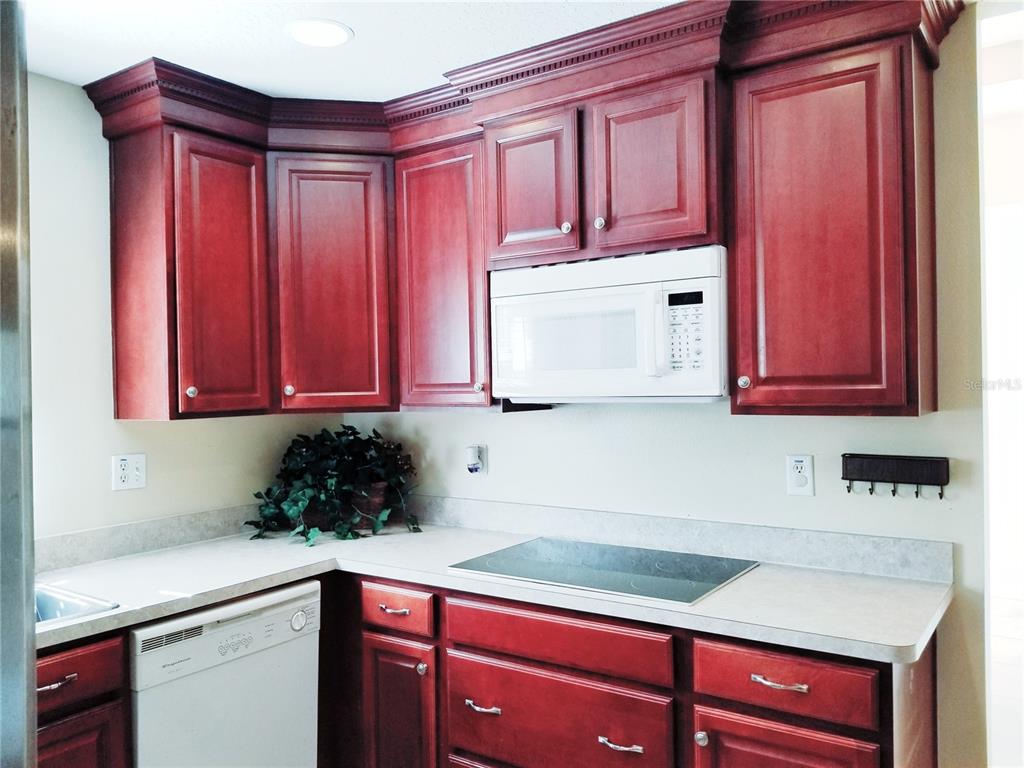 5245 Kapok Drive New Port Richey, FL 34652 - Photo 17 of 38