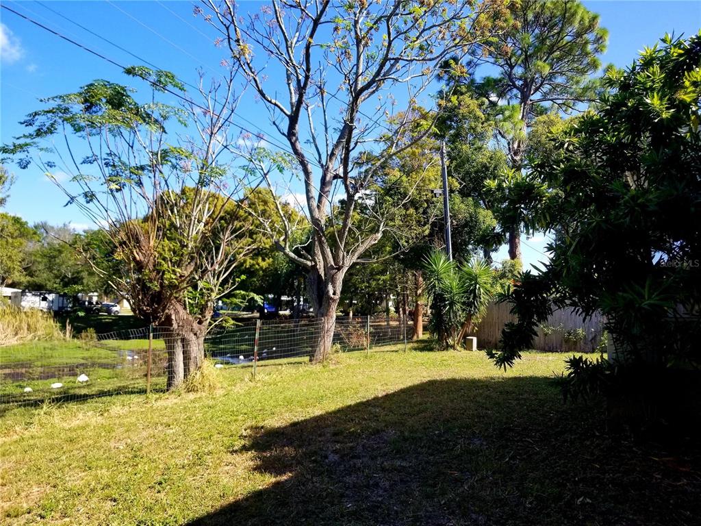 5245 Kapok Drive New Port Richey, FL 34652 - Photo 35 of 38