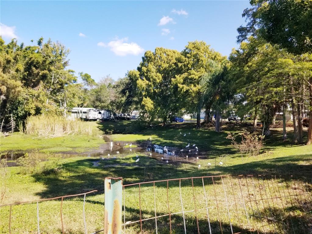 5245 Kapok Drive New Port Richey, FL 34652 - Photo 37 of 38