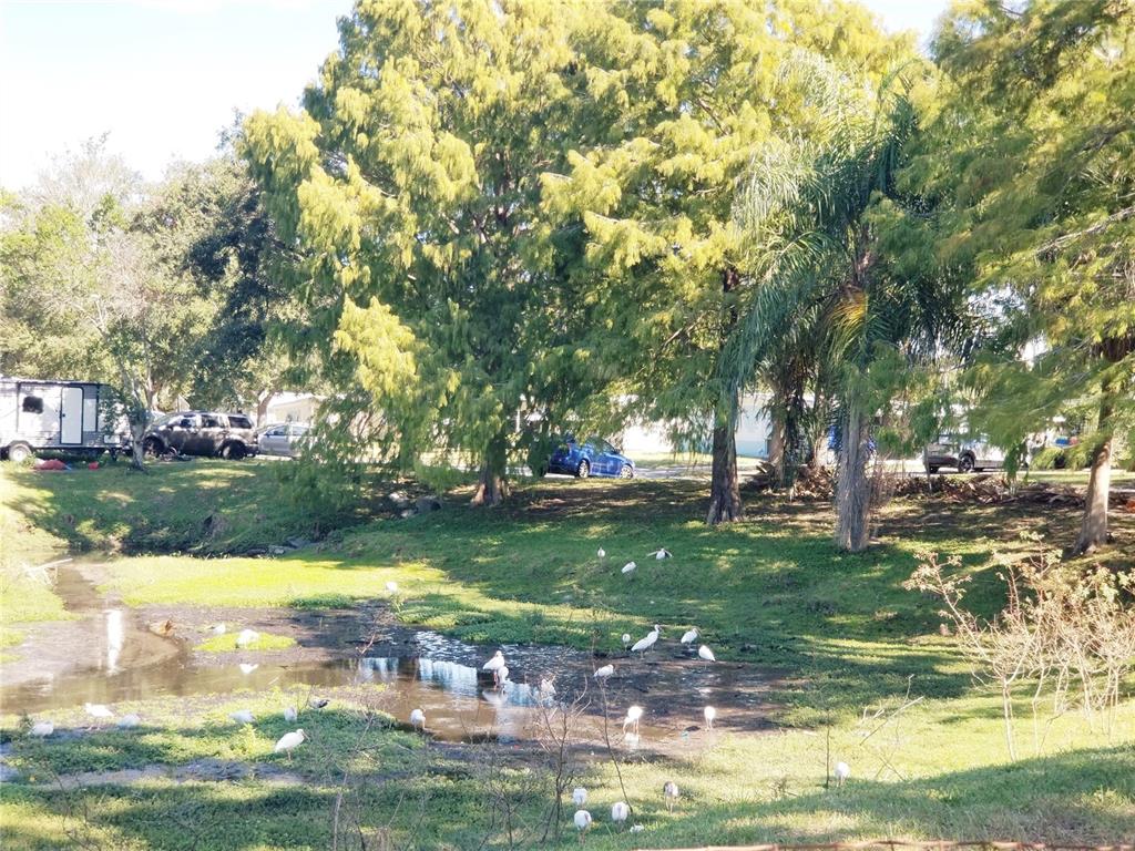 5245 Kapok Drive New Port Richey, FL 34652 - Photo 38 of 38