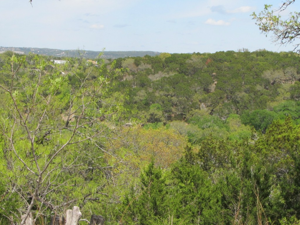 a view of a field with an ocean view