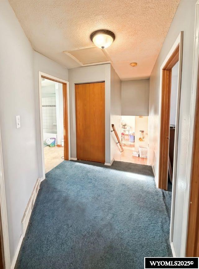 1850 West Walnut Street Wheatland, WY 82201 - Photo 8 of 20