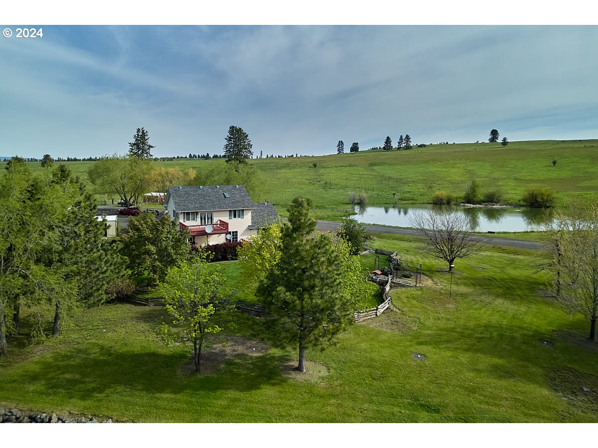 76012 Highway 82 Elgin, OR 97827 - Photo 41 of 41 a view of a big yard with potted plants and large tree
