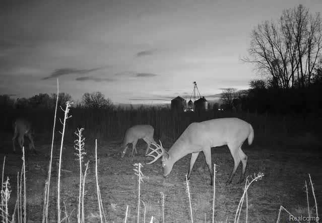 V/l Stewart Road Lapeer, MI 48446 - Photo 1 of 6