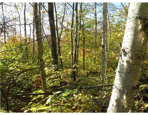 Lot 8 Warden Hill Road Springfield, ME 04487 - Photo 25 of 25 Land. Some of the land below the cabin