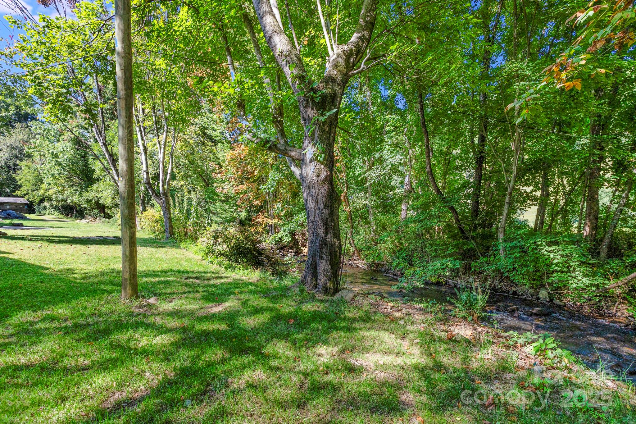 1808 Allens Creek Road Waynesville, NC 28786 - Photo 3 of 45 a view of a trees with a yard