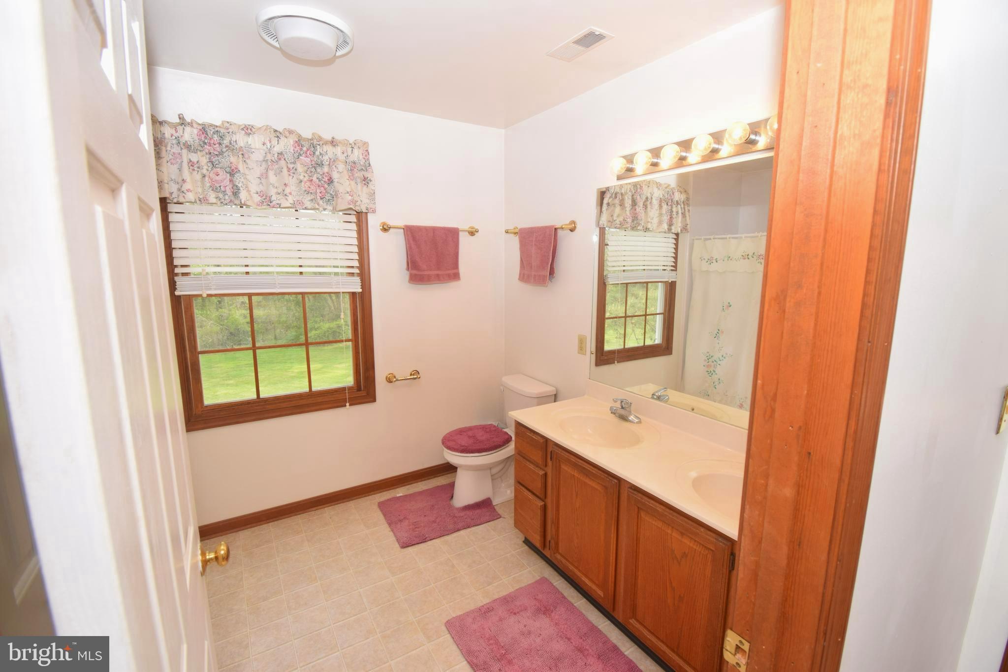 11479 Station Road Worton, MD 21678 - Photo 20 of 65 Bathroom that serves the upstairs bedrooms