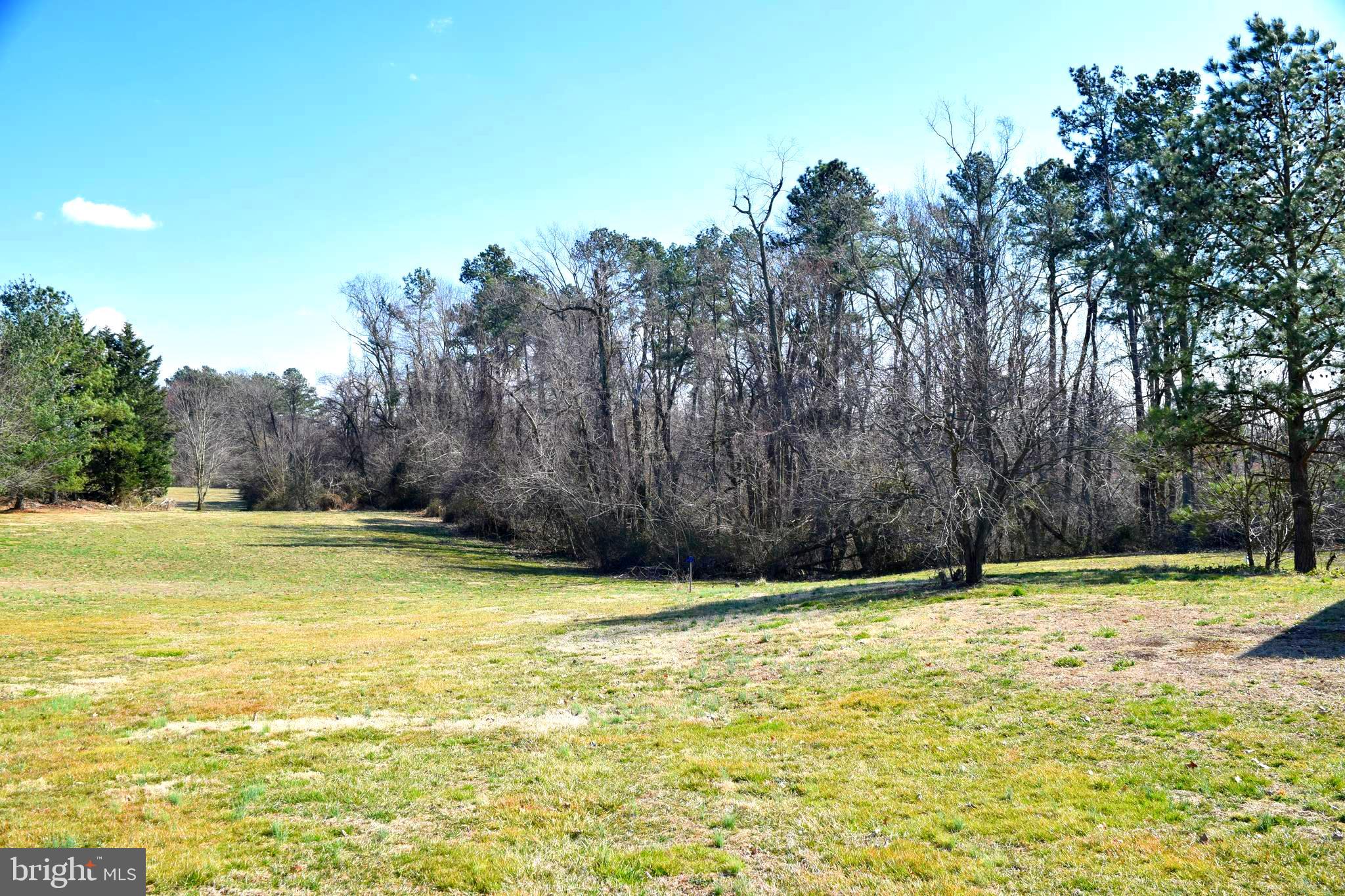 11479 Station Road Worton, MD 21678 - Photo 44 of 65 View out back