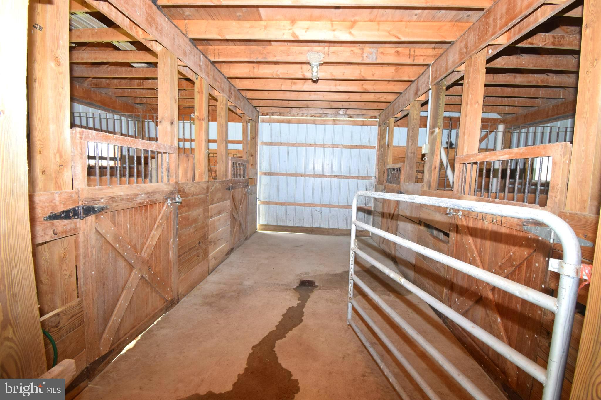 11479 Station Road Worton, MD 21678 - Photo 47 of 65 Stalls