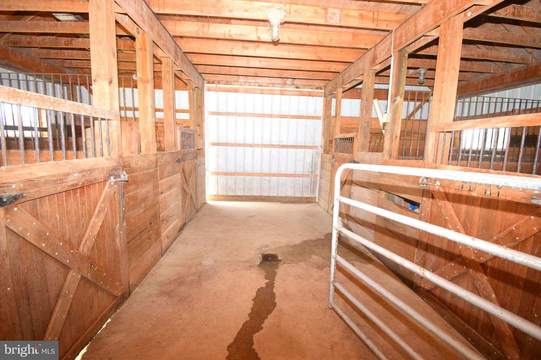 11479 Station Road Worton, MD 21678 - Photo 48 of 65 Stalls