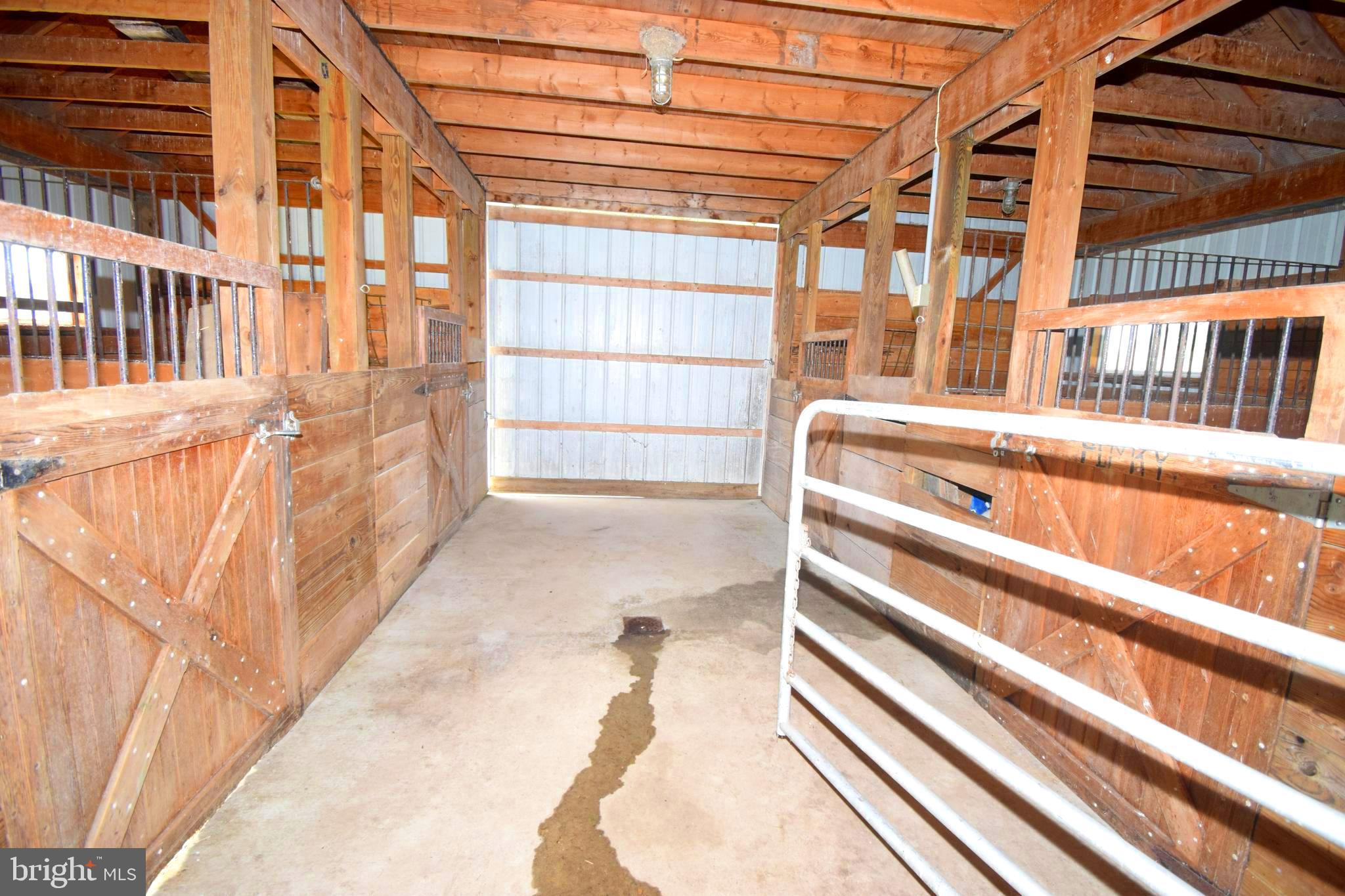11479 Station Road Worton, MD 21678 - Photo 49 of 65 Stalls
