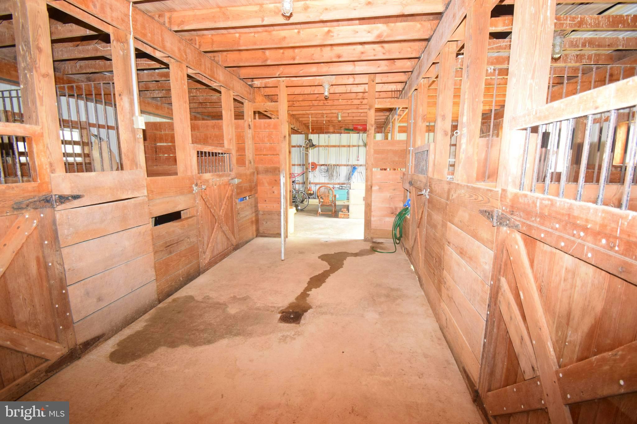 11479 Station Road Worton, MD 21678 - Photo 50 of 65 Stalls