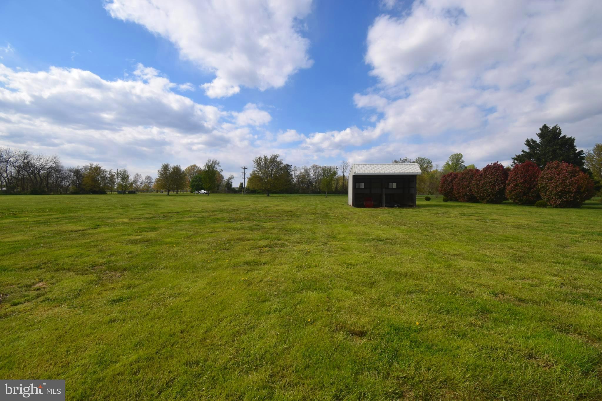 11479 Station Road Worton, MD 21678 - Photo 61 of 65 Run barn