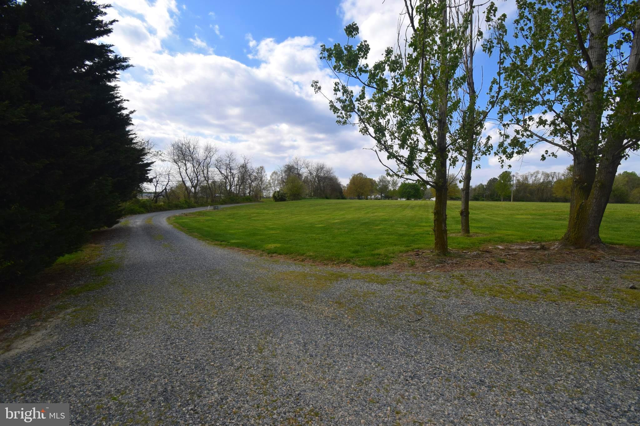 11479 Station Road Worton, MD 21678 - Photo 64 of 65 View of the drive up to the house