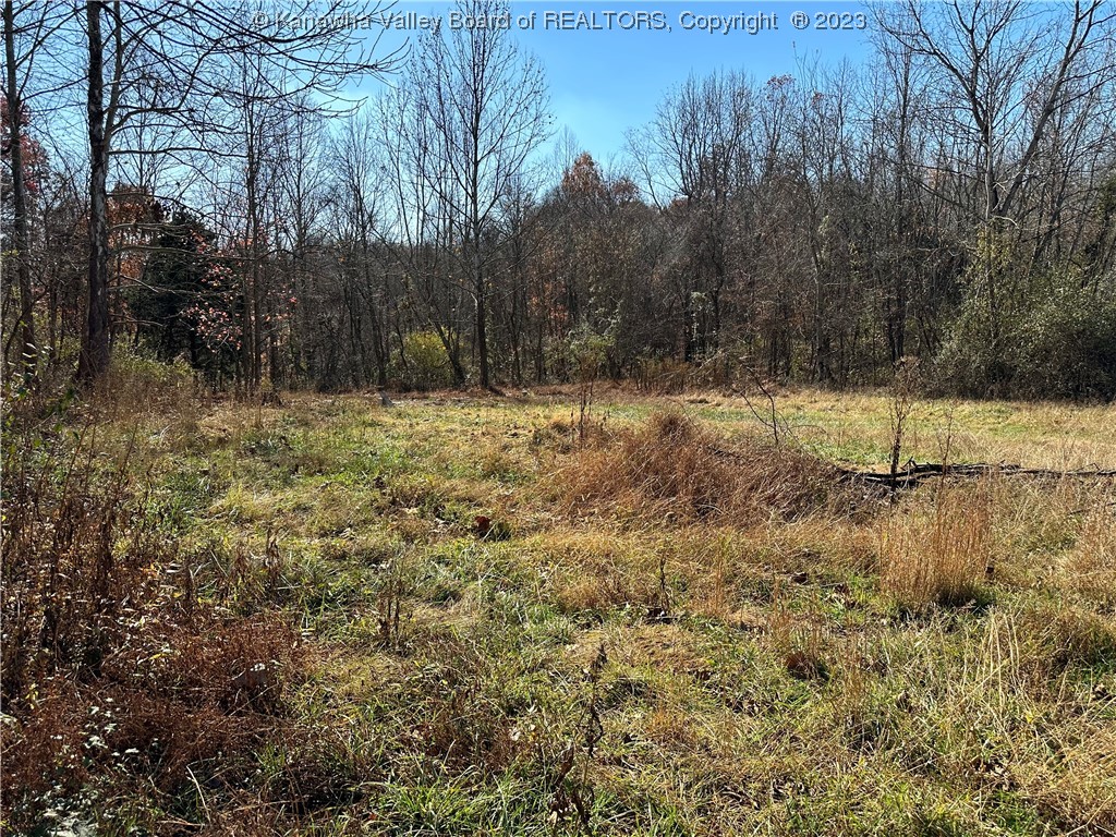 1798 White Ridge Road Point Pleasant, WV 25550 - Photo 3 of 5 Gallery Image 3