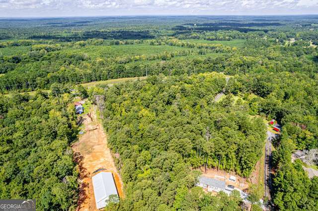 0 Braswell Lake Road Gray, GA 31032 - Photo 14 of 15