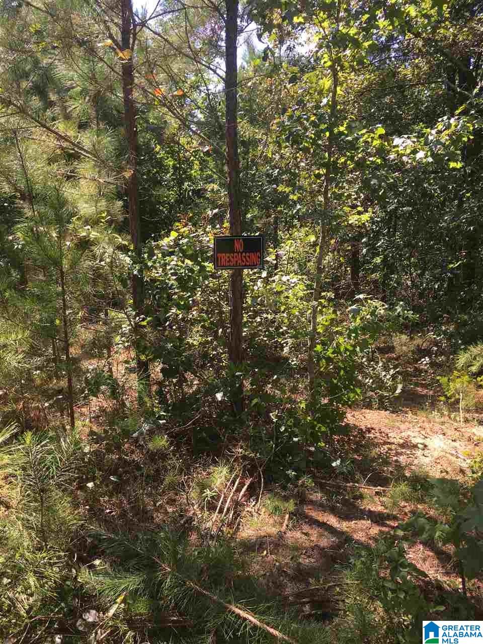 0 Duck Springs Road, Unit 2 PARCELS Attalla, AL 35954 - Photo 6 of 24