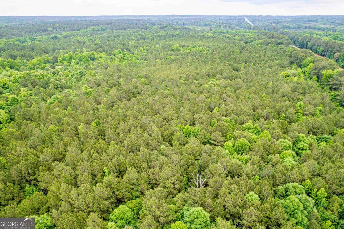 0 Pear Orchard Road Greensboro, GA 30642 - Photo 23 of 34
