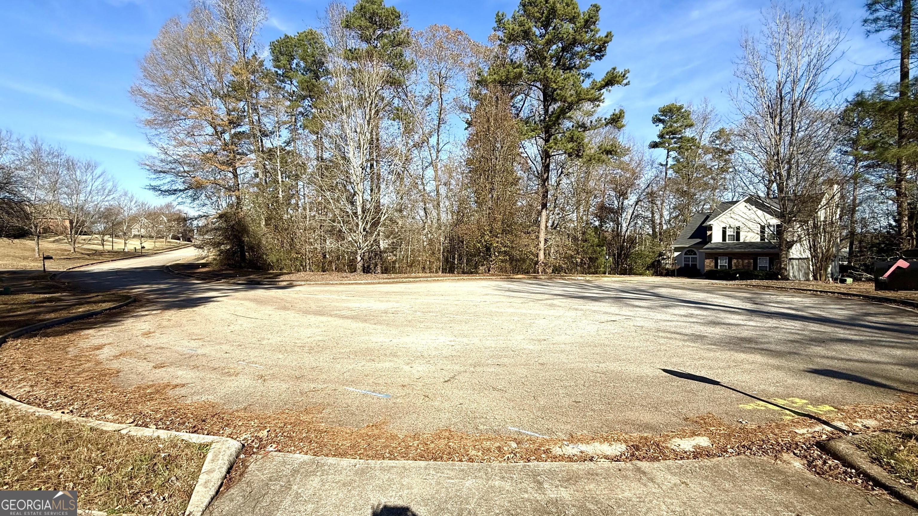 230 Mels Way Stockbridge, GA 30281 - Photo 39 of 40 a view of dirt yard with a large tree