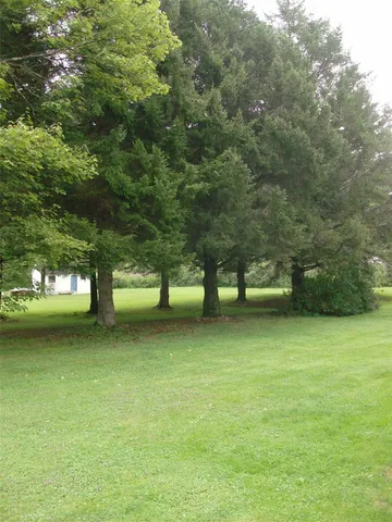 a view of a trees and yard