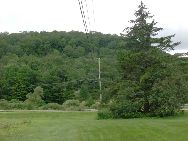 a view of a grassy field with trees