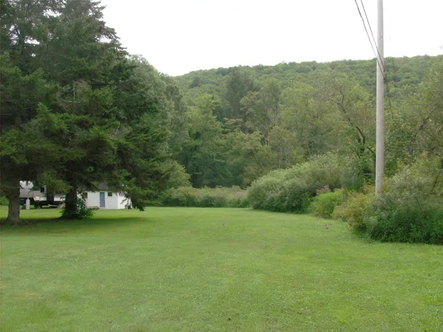 a view of a field with a trees