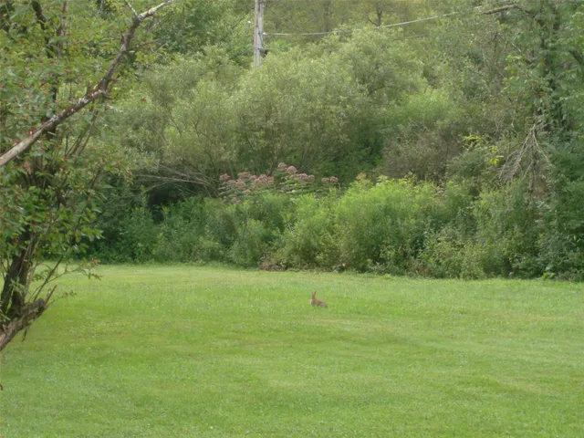 a view of a house with backyard and garden