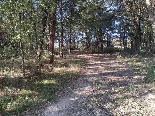 a view of dirt yard with trees