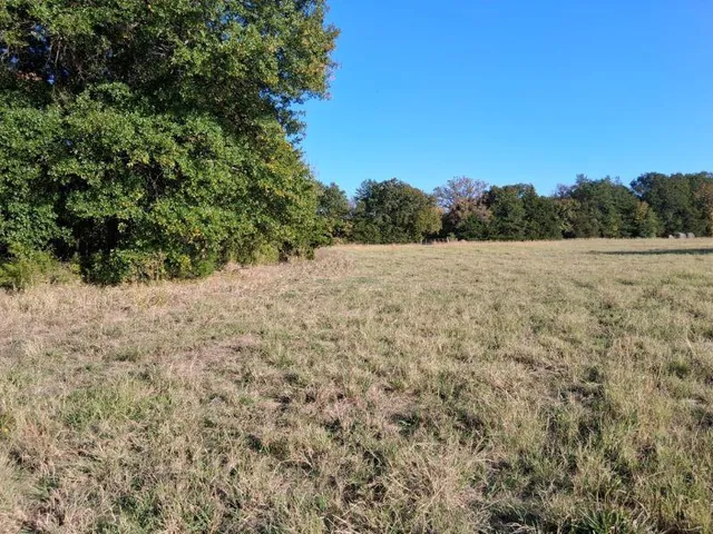 a view of an outdoor space and a yard