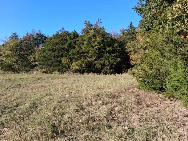 a view of a yard covered in snow