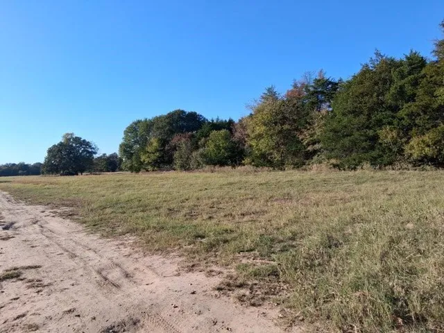 a view of a field with a tree in the background