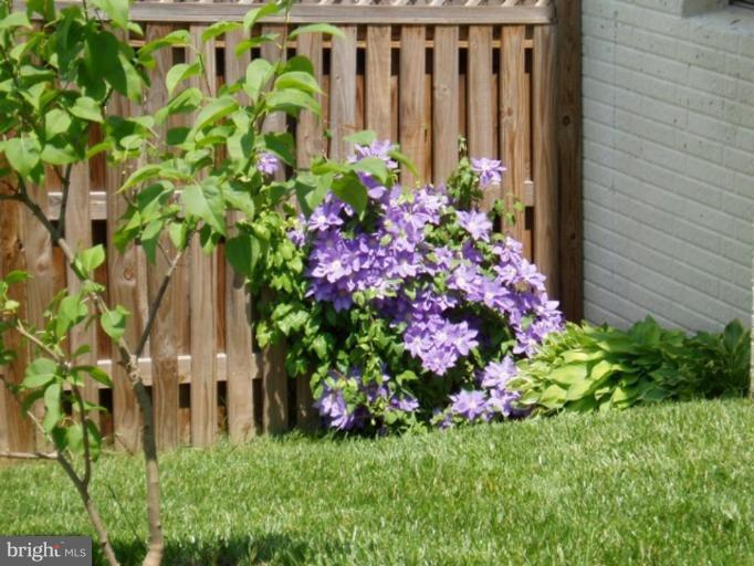 14309 Bubbling Spring Road Boyds, MD 20841 - Photo 22 of 27 Garden