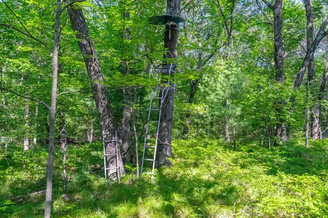 $92,500 | Cth Hh, Unit 1, Shawano, WI 54166