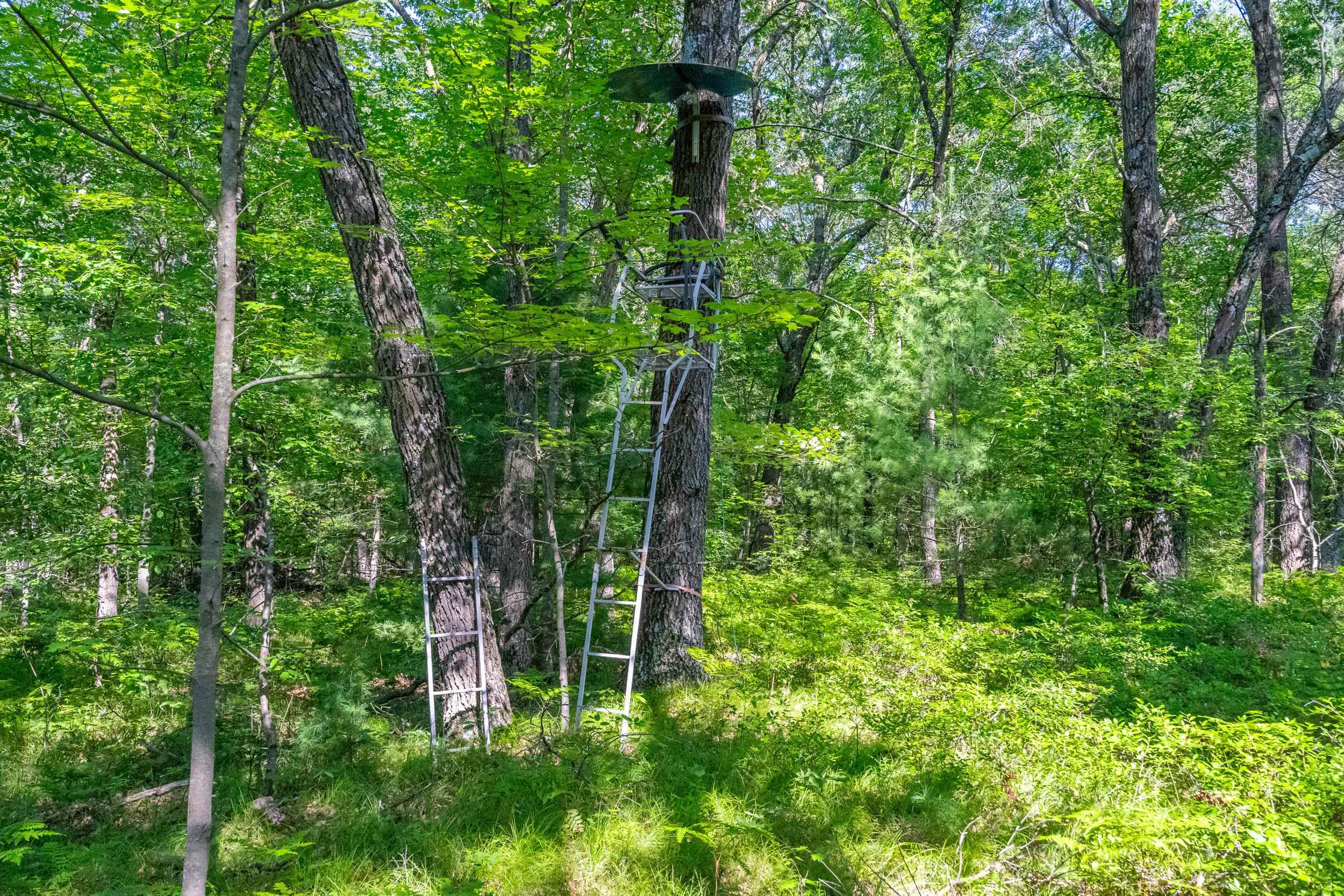 Cth Hh, Unit 1 Shawano, WI 54166 - Photo 21 of 36