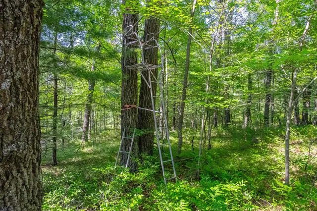 $92,500 | Cth Hh, Unit 1, Shawano, WI 54166