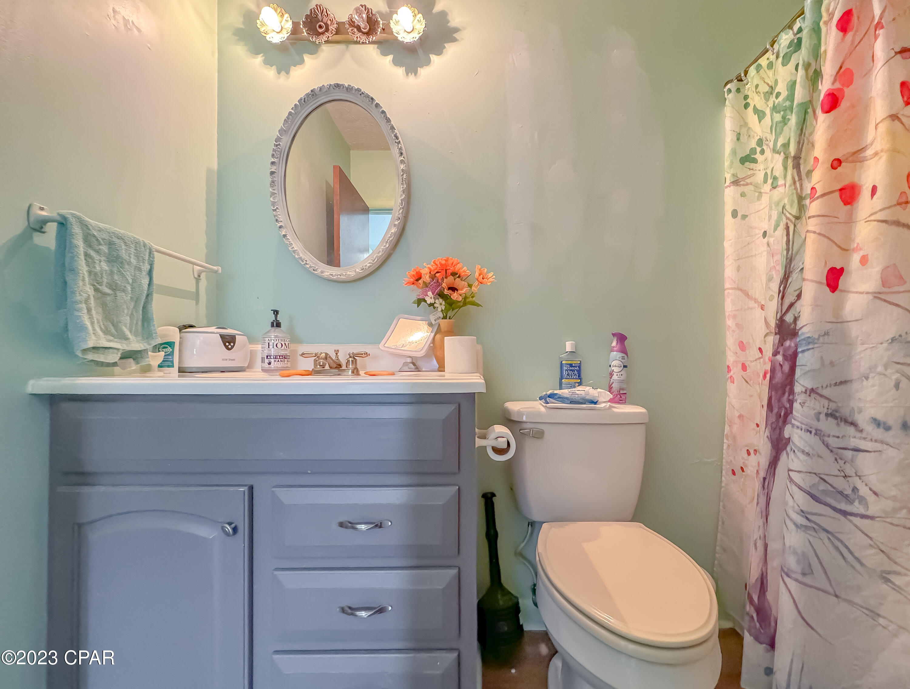 2432 Franklin Loop Marianna, FL 32446 - Photo 27 of 51