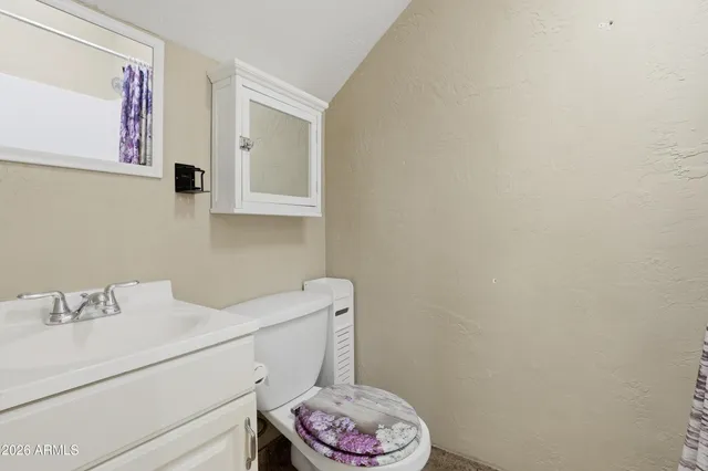 a bathroom with a sink a toilet and a mirror