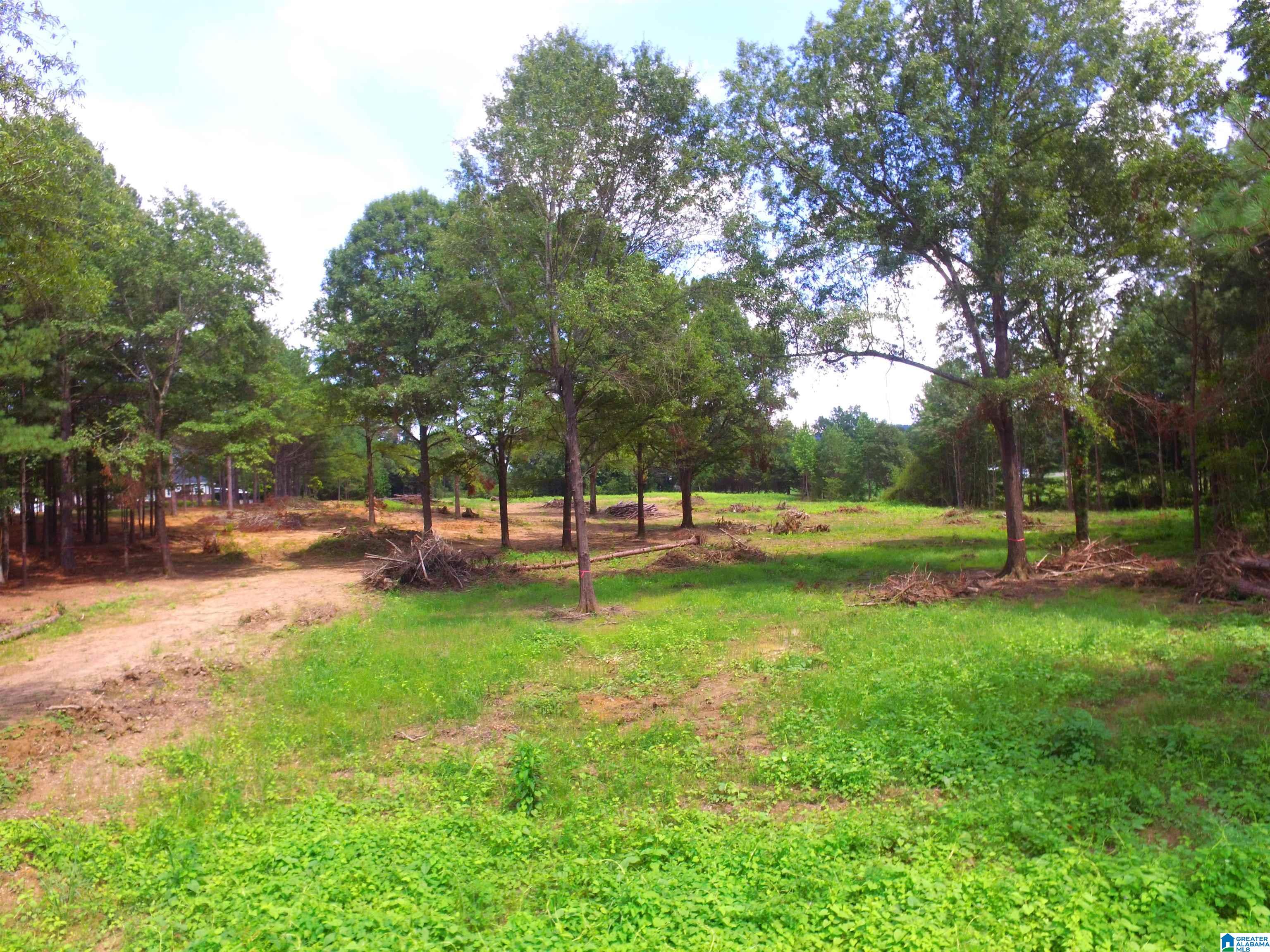 0 Lane Road, Unit 1 Oxford, AL 36203 - Photo 3 of 11