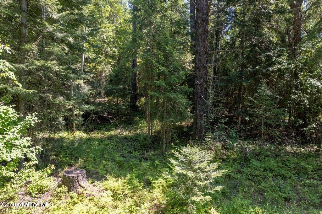 2343 Wrenco Loop Sandpoint, ID 83864 - Photo 27 of 27 027_15