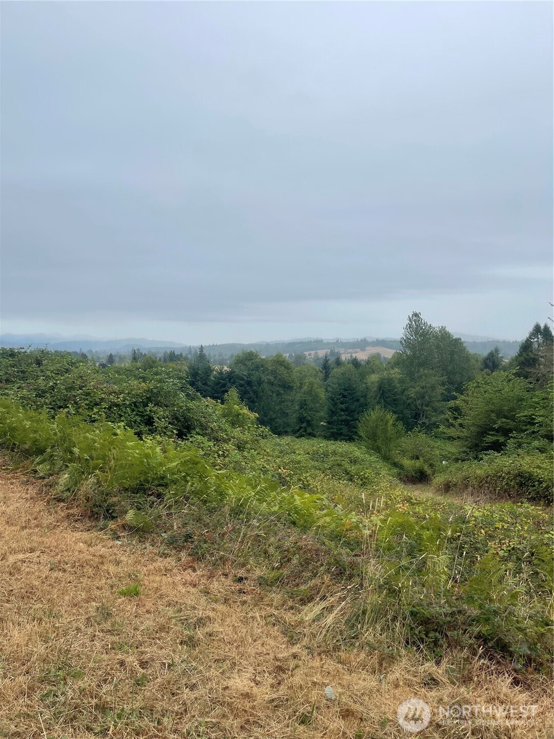 47 Alexander Road Raymond, WA 98577 - Photo 2 of 10