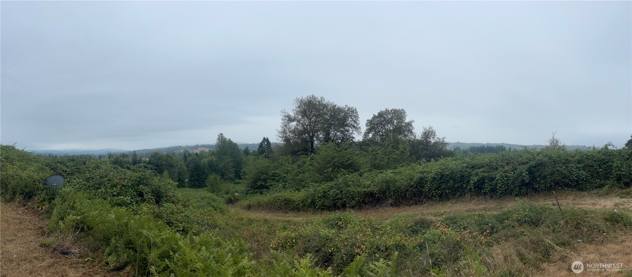 47 Alexander Road Raymond, WA 98577 - Photo 3 of 10