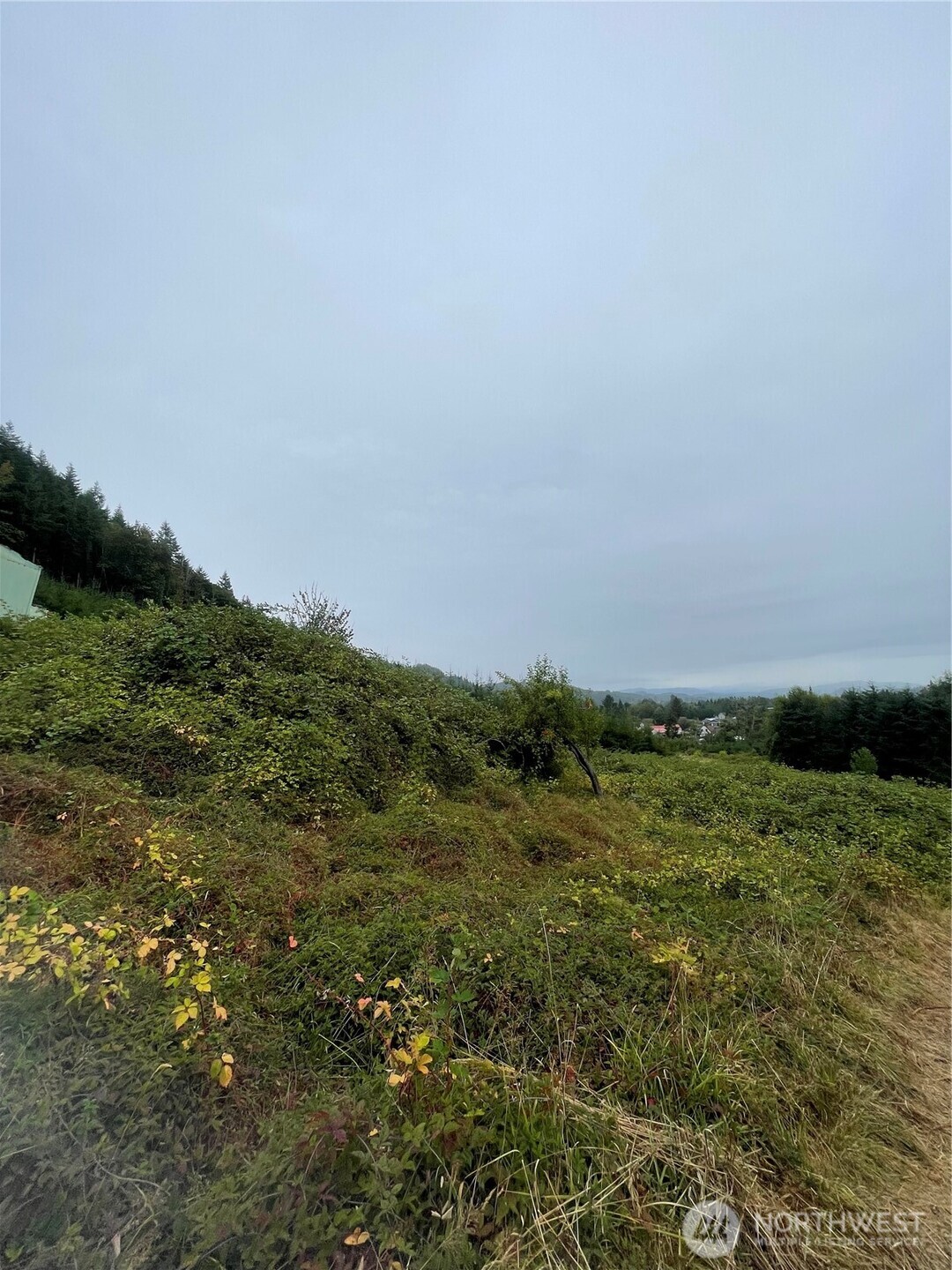 47 Alexander Road Raymond, WA 98577 - Photo 5 of 10