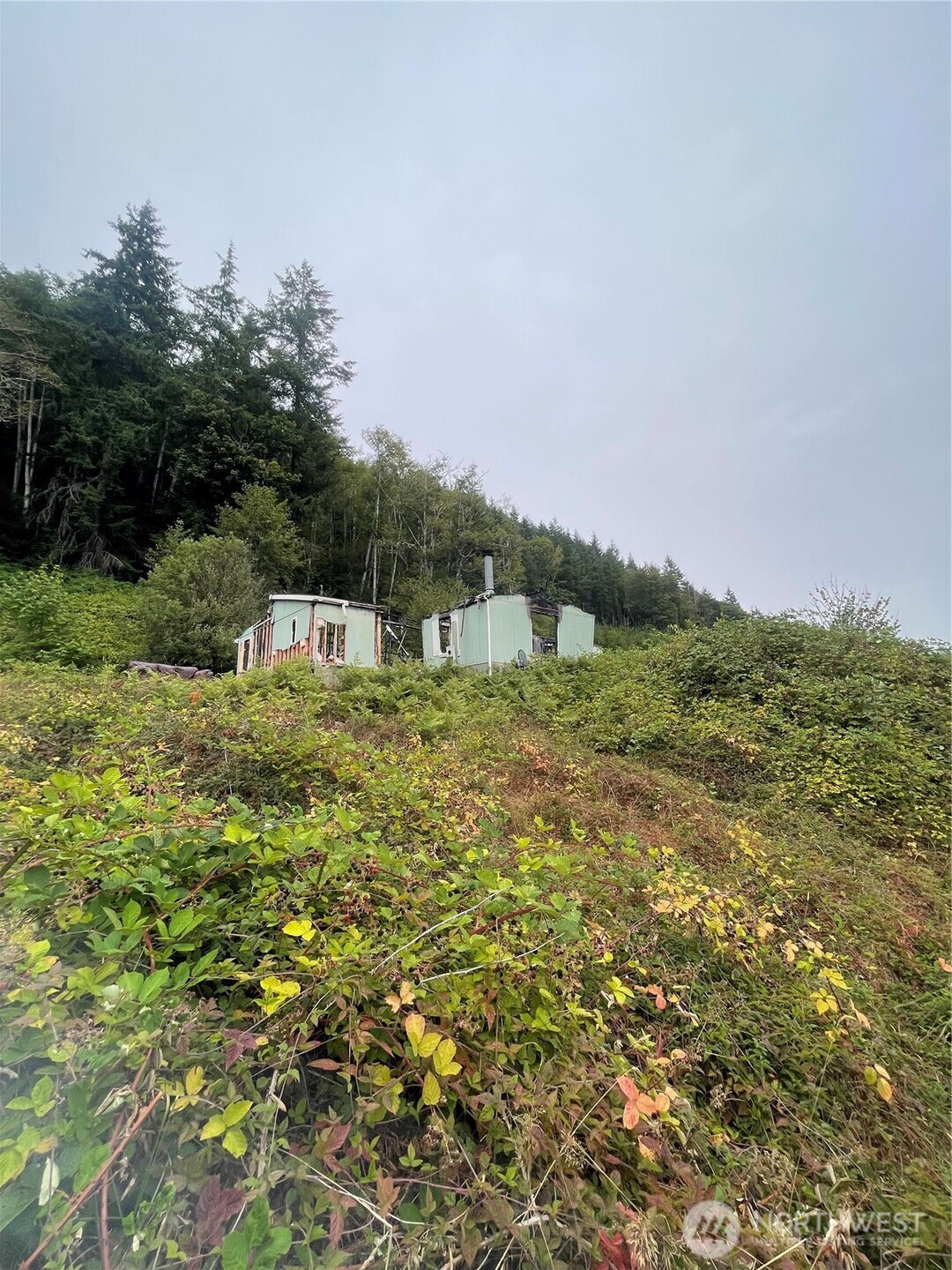 47 Alexander Road Raymond, WA 98577 - Photo 7 of 10