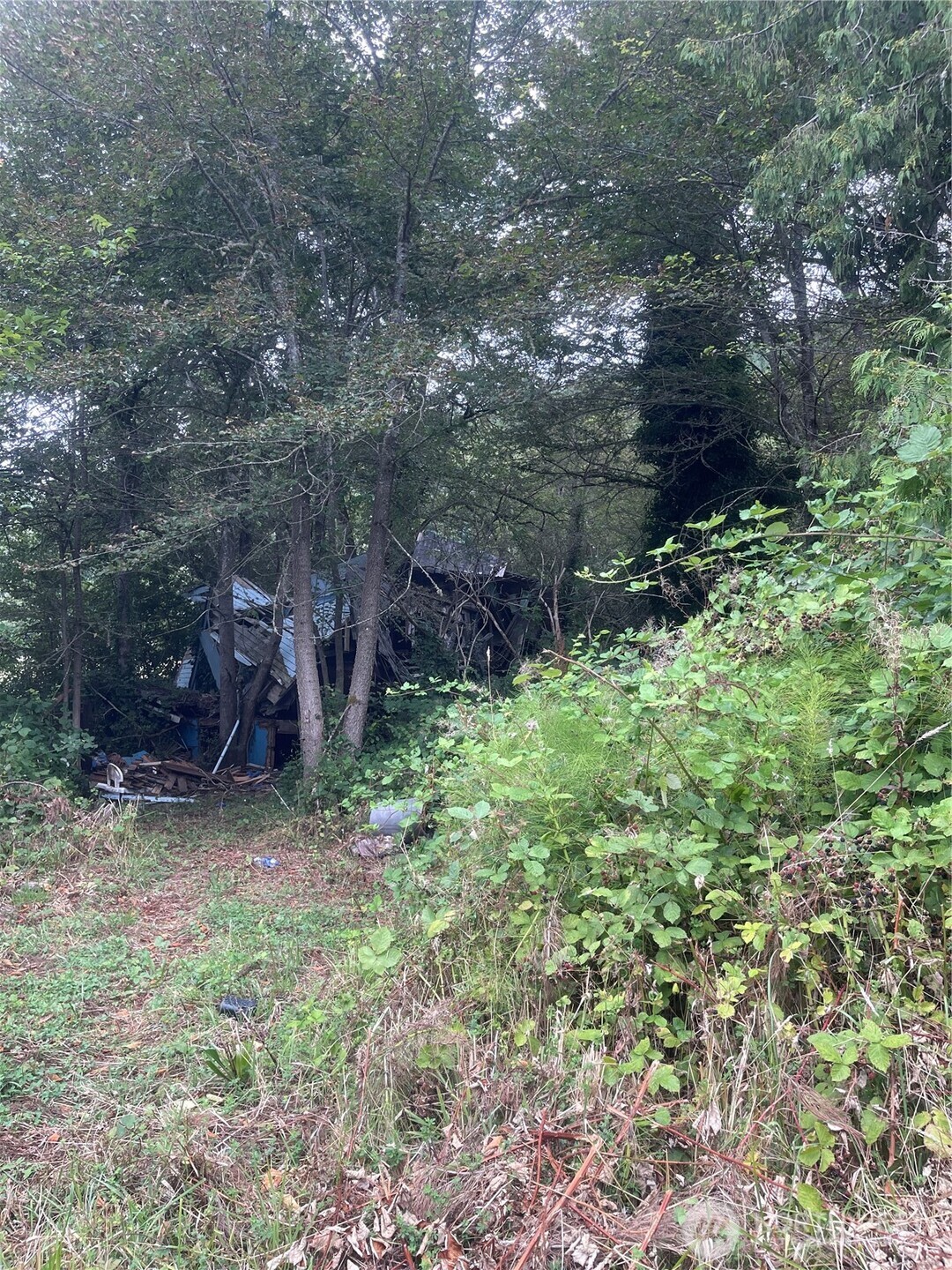 47 Alexander Road Raymond, WA 98577 - Photo 9 of 10