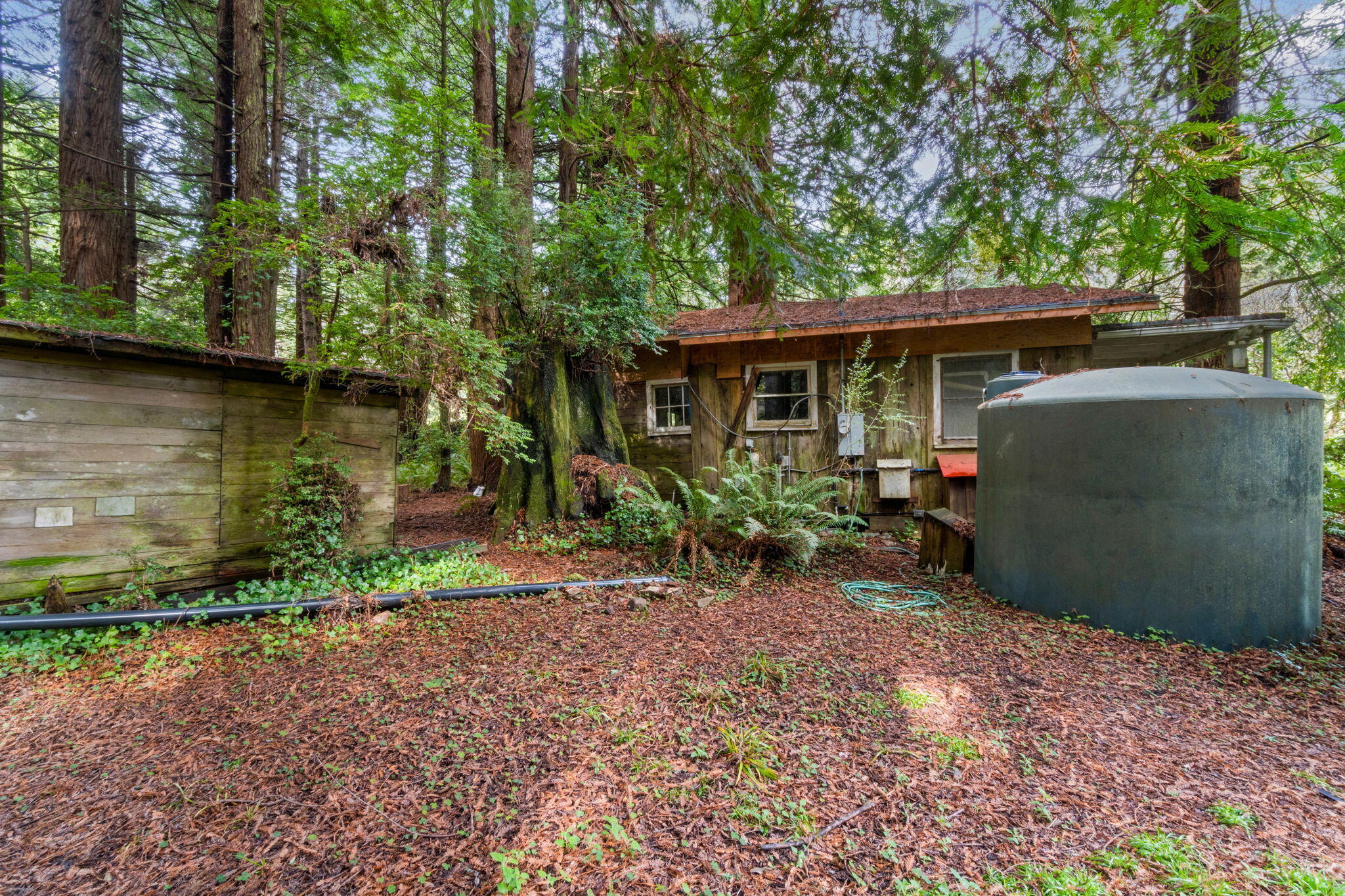 207 Lanford Road Trinidad, CA 95570 - Photo 7 of 16 7-web-or-mls-DSC08241_1