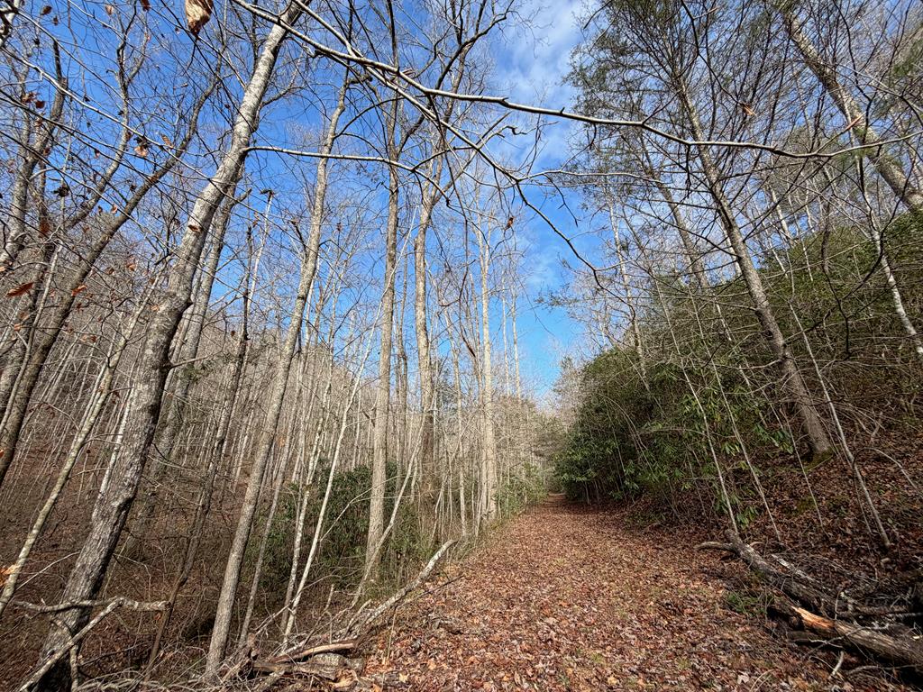 135.49-ac Webb Creek Road Andrews, NC 28901 - Photo 9 of 34